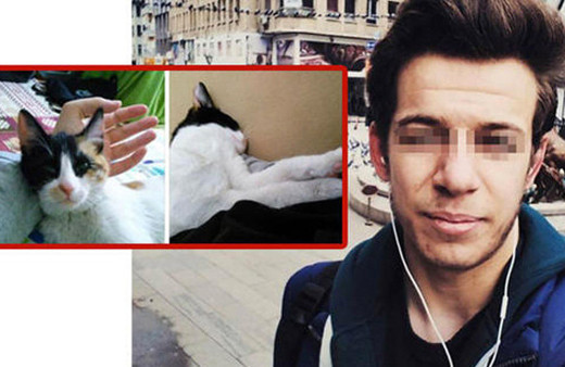 Üniversiteli cani! Kediyi çamaşır makinesine atıp öldürmüş