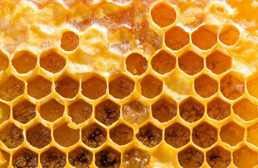 Her şeye iyi gelen 'propolis' mucizesi