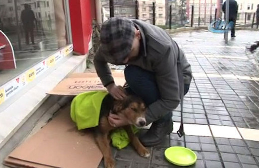 Üşüyen köpeğe şefkat eli battaniyeye sarıp süt verdiler