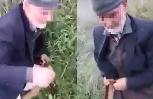 Cami önünde köpeğe tecavüz ederken böyle yakalandı