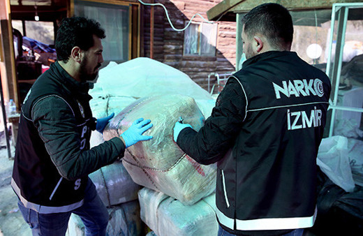 1,5 ton genetiği değiştirilmiş esrar ele geçirildi