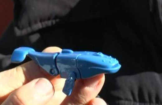 Sürpriz yumurtadan çıktı! Hemen savcıya koştu