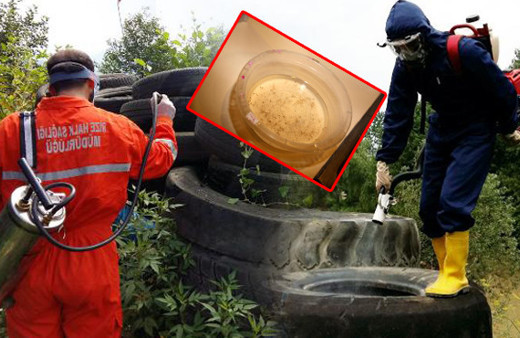 Kırmızı alarm! 2 tanesi Türkiye'de tespit edildi