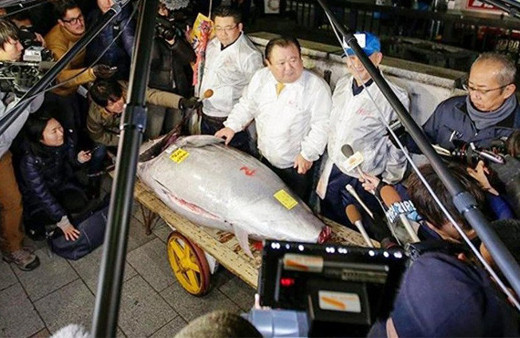 Japonya'da yılın ilk orkinosu 320 bin dolara satıldı