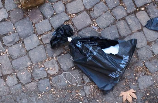 Cami bahçesinde kesik bacak bulundu