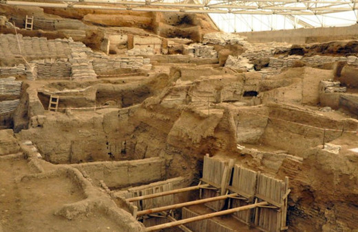 Neolitik dönemin DNA şifrelerini Türk bilim insanları çözecek