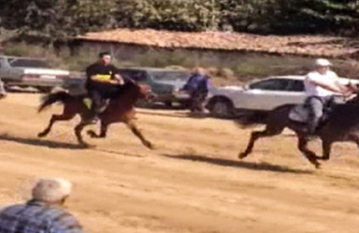 Atların ilginç çarpışması kamerada