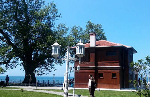 Yürüyen Köşk'ün 400 yıllık çınar ağacına bakım yapıldı