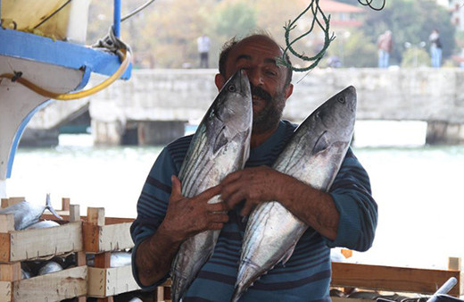 Limana 8 bin palamut ile döndü