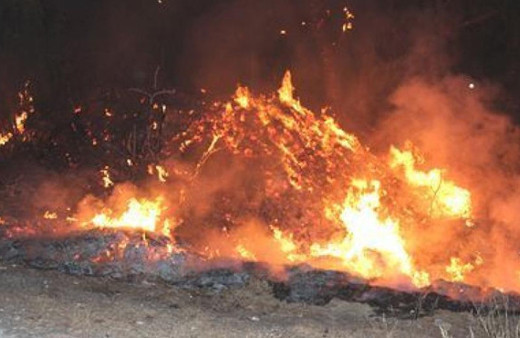 Ot yangını için gittiler ceset buldular