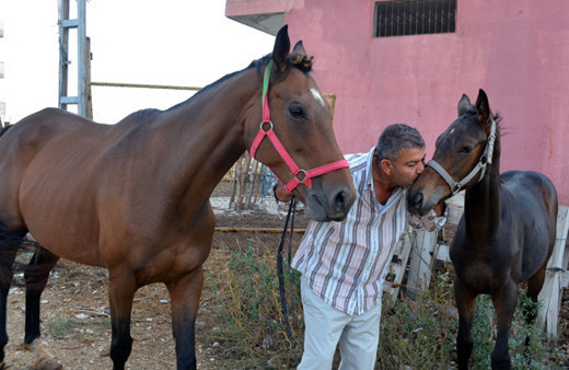 800 bin TL'lik atını buldu öpmeye doyamadı