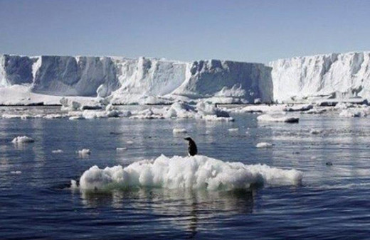 Bu sesi ilk kez duyacaksınız! Şarkı söyleyen buzullar...