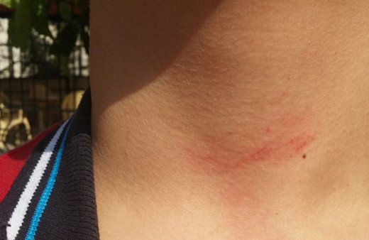 Öğretmenden şok sözler! 'Laftan anlamıyorsa kötekten anlar'