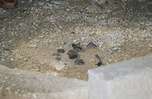 Yol kenarındaki pimi çekilmiş el bombası bulundu!