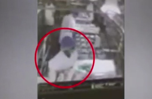 Mide bulandıran görüntü! Etlerin üzerine idrarını yaptı! 