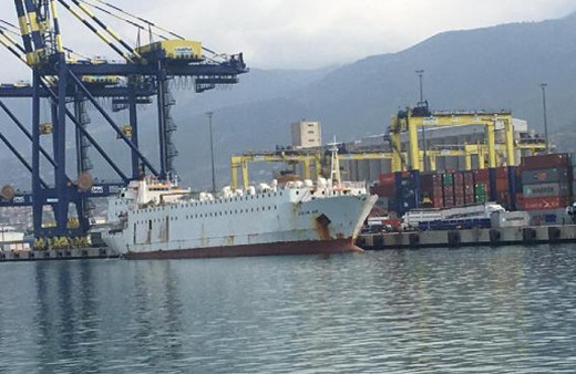 22 gün önce getirilen anguslar tahliye ediliyor