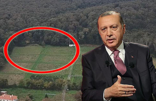 Erdoğan 'keşif yaptılar' demişti! İşte o bölge