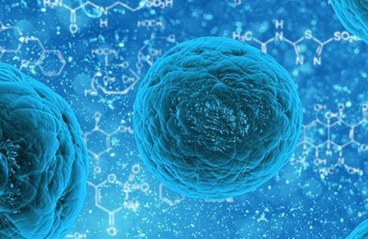 İsveçli bilim insanları yeni bir insan hücresi yapısı keşfedildi