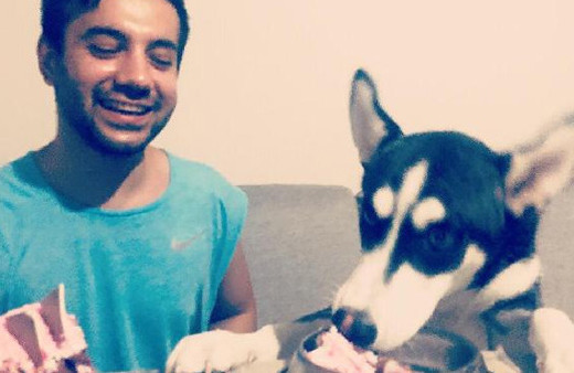 Köpeğine suni teneffüs yapan doktor ölümden döndü