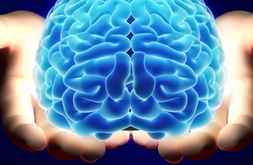 Beyin üretildi üstelik 9 ay canlı kaldı tıp dünyasında devrim