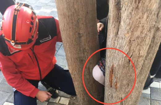 Teneffüste ağaca çıktı, bacağından oluyordu!