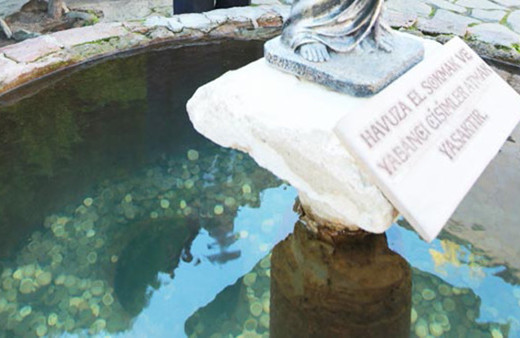 Dilek Havuzu'na atılan paralara ne oldu?