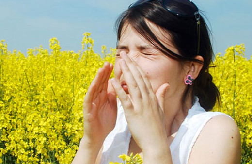 Saman nezlesi nedir diğer türlerden ne farkı vardır?
