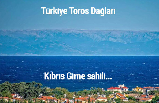 KKTC bu fotoğrafı konuşuyor! Torosları gördüler...