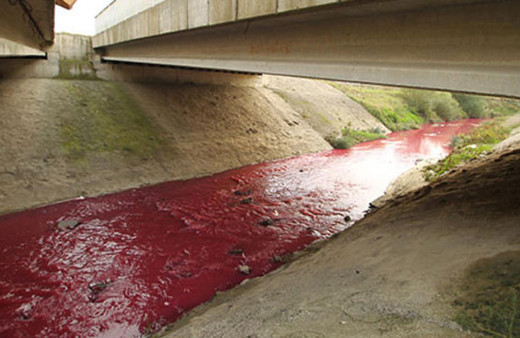 Çerkezköy'de kan donduran görüntü