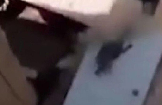 Hizmetçisi can çekişirken video çekti