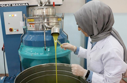 Hibe desteği ile tesis kurdu Şanlıurfa'nın umudu oldu