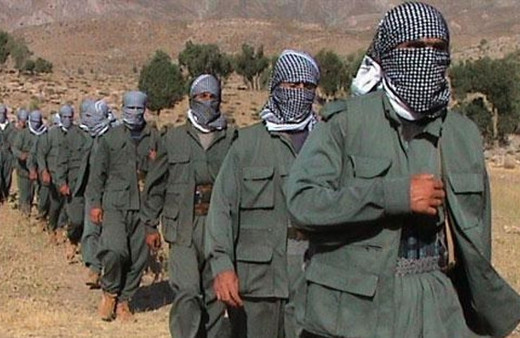 Şanlıurfa'da PKK'nın infaz timine operasyon