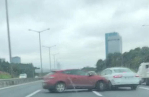 TEM'e çıkan kedi zincirleme kazaya neden oldu