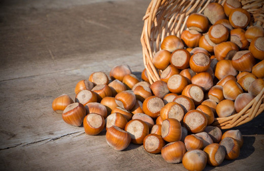 'Çiğ fındık'la sağlık depolayın! İşte fındık mucizesi...