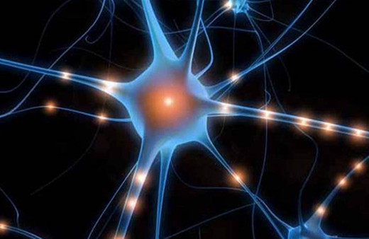 Aç kalmak  insan ömrünü uzatıyor