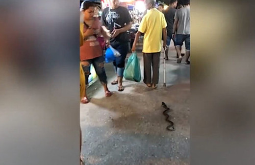 Pazarda yılanla yürüyen adam herkesin aklını aldı