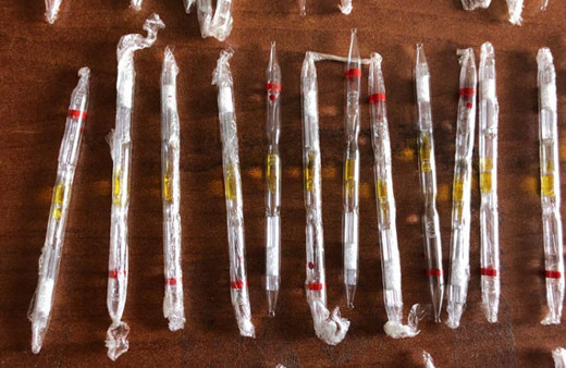 Bir damlası 8 saniyede fil öldürüyor tam 500 tüp kobra zehiri ele geçirildi 