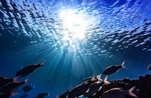 Okyanusların ısınma hızı son 25 yılda rekor seviyeye ulaştı