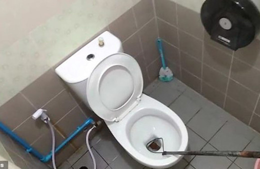 3 metrelik piton yılanı adamın penisini ısırdı