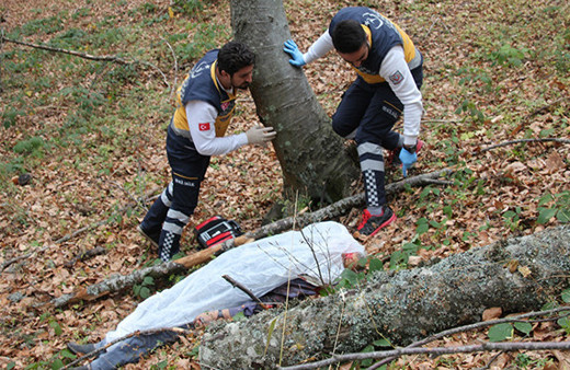 Kestiği ağacın dalı başına saplanınca feci şekilde can verdi!