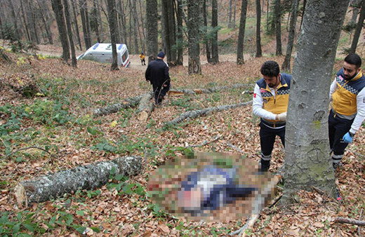 Ormanda kestiği ağaç ölümüne neden oldu