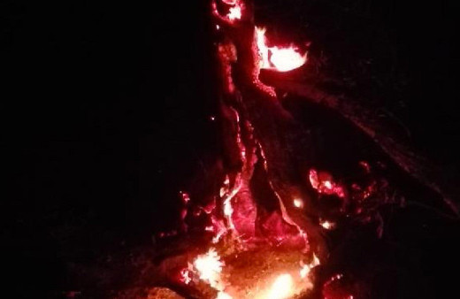 Antalya'da orman yangını