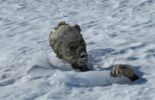 5 bin metrelik zirvede bulunmuştu! Kim olduğu ortaya çıktı