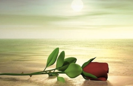 Mevlid-i Nebi ne demek, Kutlu Doğum Haftası yeni adı ne zaman 2019?