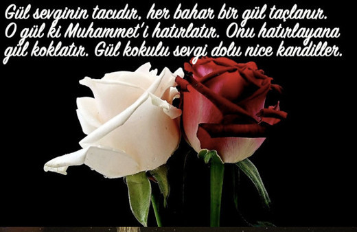 Mevlid Kandili mesajları resimli kısa ve öz sözlerle 2018