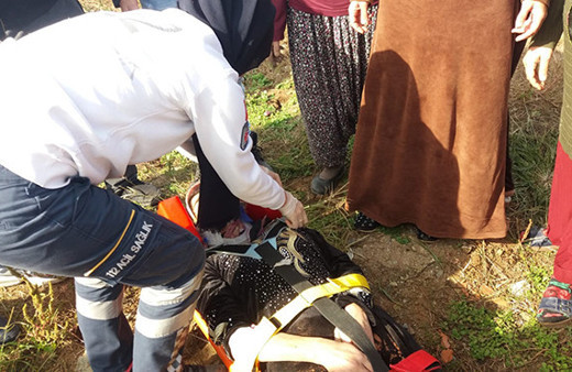 Tarlada dehşet: Ortalık bir anda savaş alanına döndü!