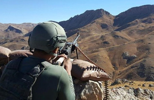 Cudi Dağı'nda 18 PKK'lı teröristi 'eşek arısı' öldürdü