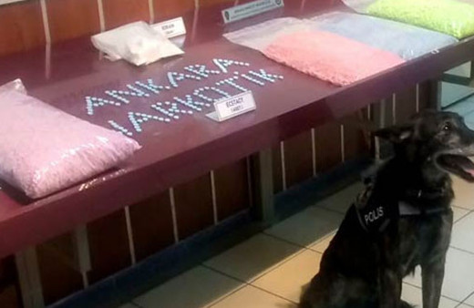 Ankara'da 1 milyon 700 bin liralık operasyon!