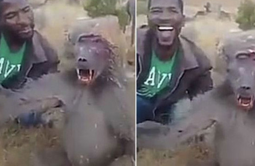 Zavallı hayvan can çekişti o acımasızca dalga geçti