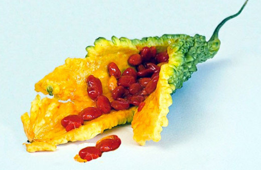 Kudret narı nedir inanılmaz faydaları nelerdir?